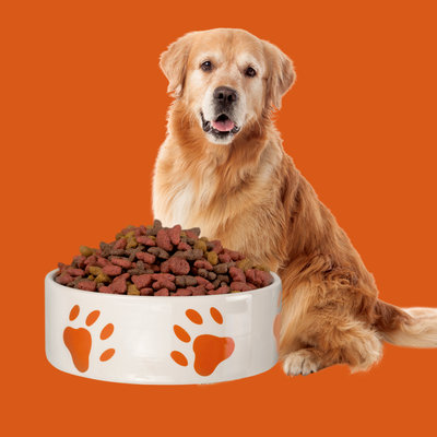 Dog Food