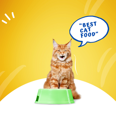 Cat Food